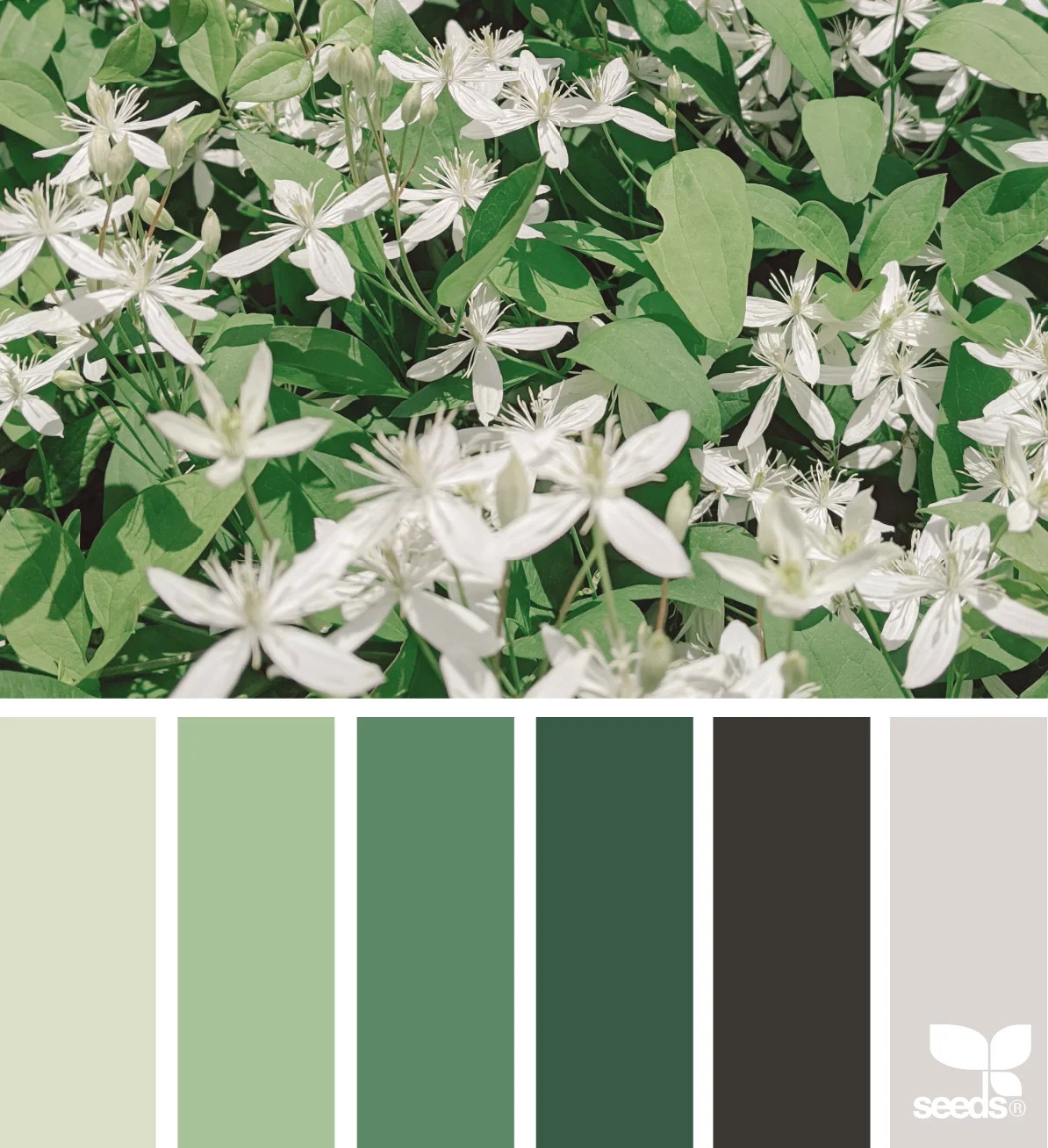 Imagen que muestra un ejemplo de cómo funciona Design Seeds, mostrando los colores junto a las imágenes