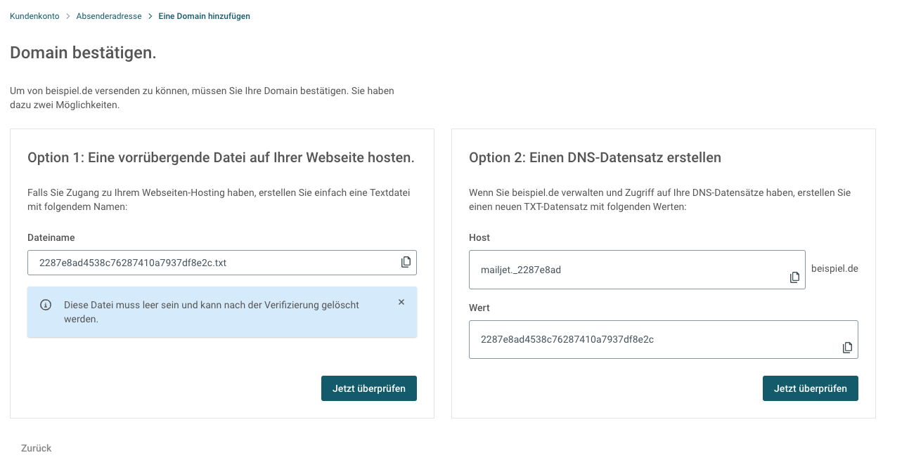 Abbildung die zeigt, wie eine Domain bei Mailjet bestätigt wird und DSN eingerichtet wird.