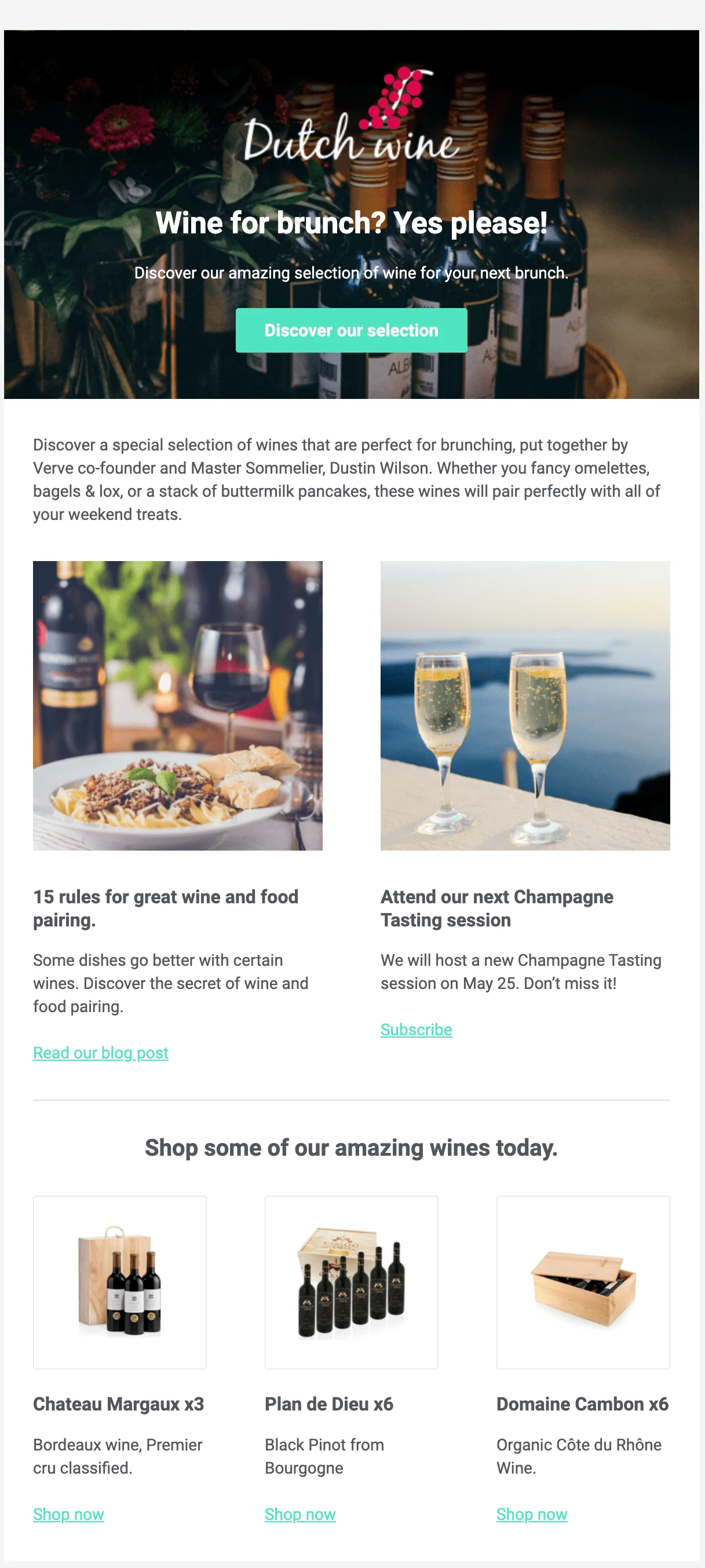 Captura de pantalla de nuestra plantilla para newsletters Dutch Wine