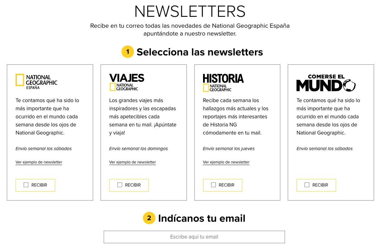 Formulario de inscripción de newsletter con varias opciones