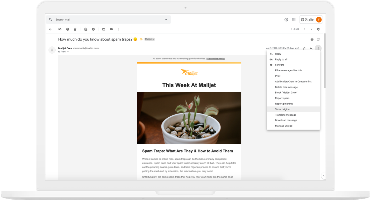 Show email header on Gmail