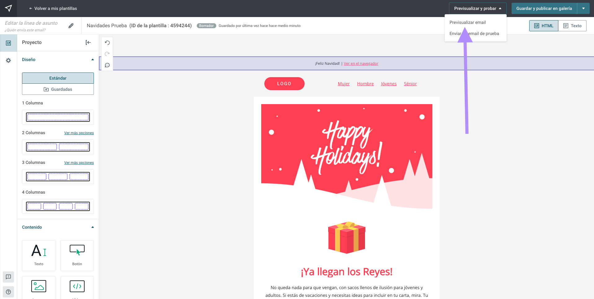 Previsualizar_emails_en_editor