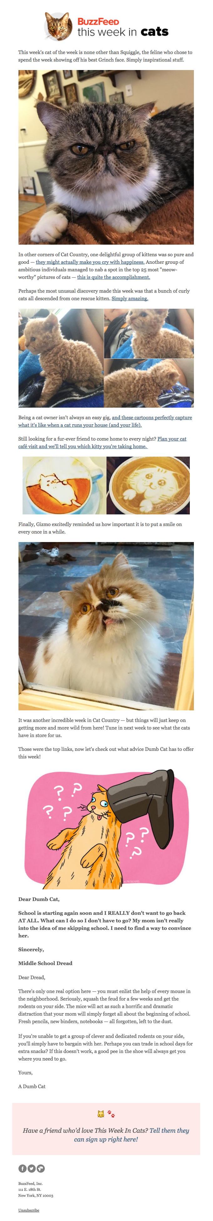 catnl
