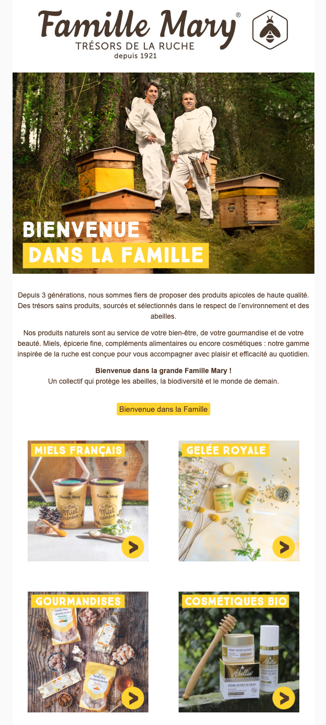 Capture d'écran de l'email de bienvenue de Famille Mary