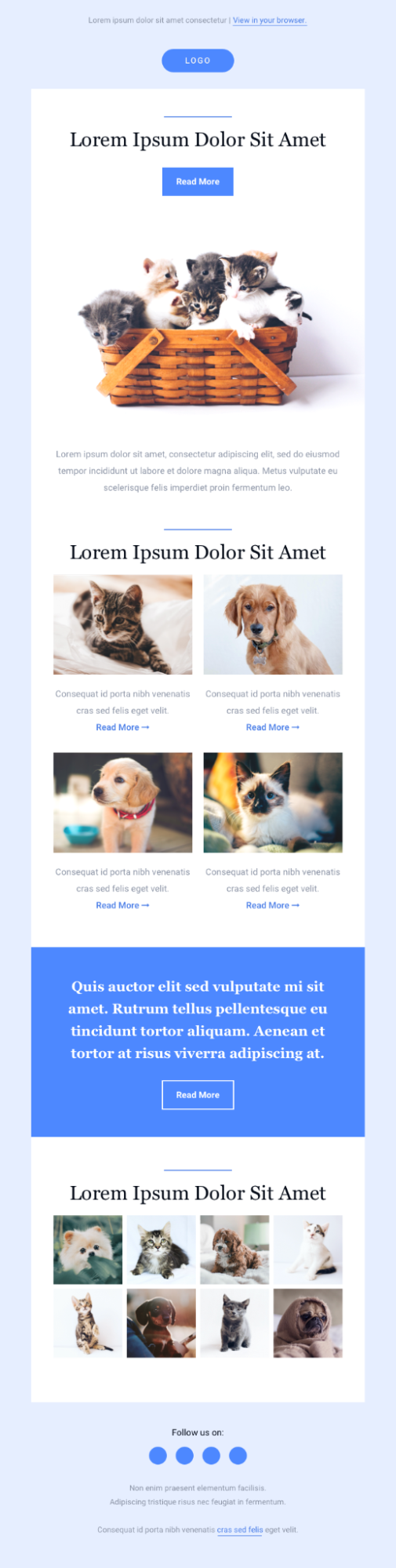 Nonprofit email templates for dog charity.