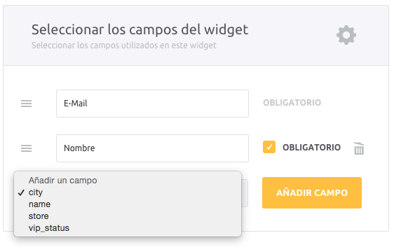 2-ES-Contact Fields