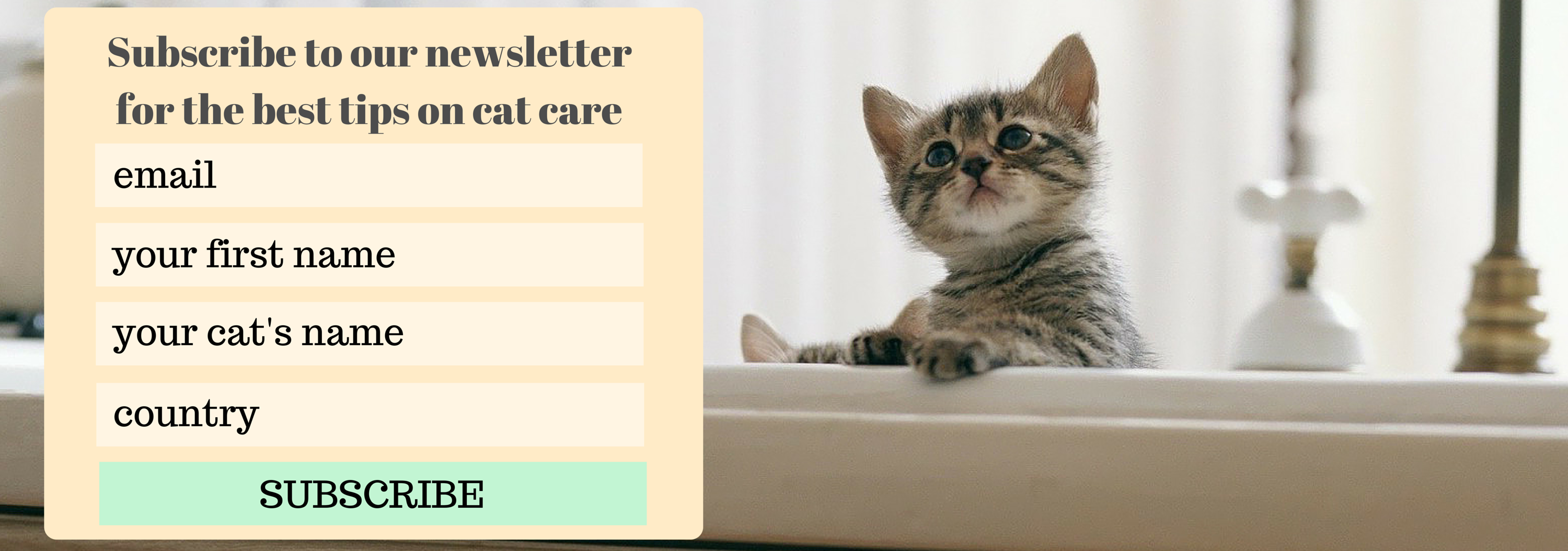 Ejemplo de banner de suscripción a newsletter