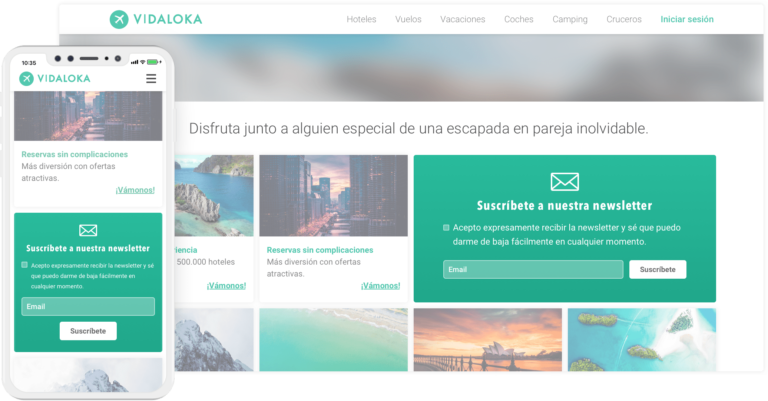 Web y vista móvil de Vidaloka