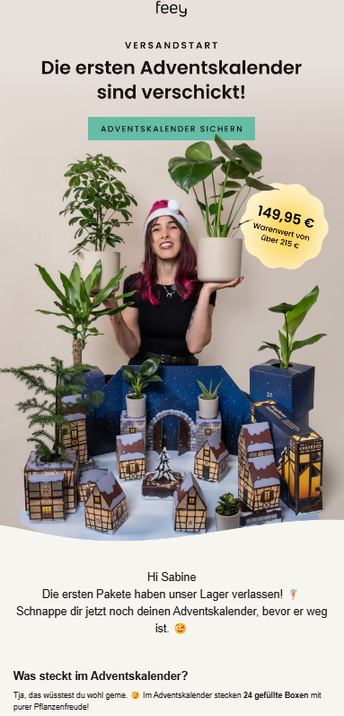 Ein Adventskalender-Newsletter von feey mit einer Produktbox.